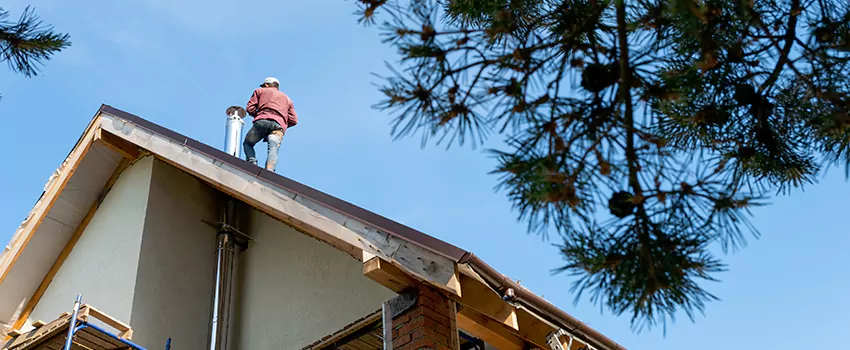 Birds Removal Contractors from Chimney in Woodmere, NY